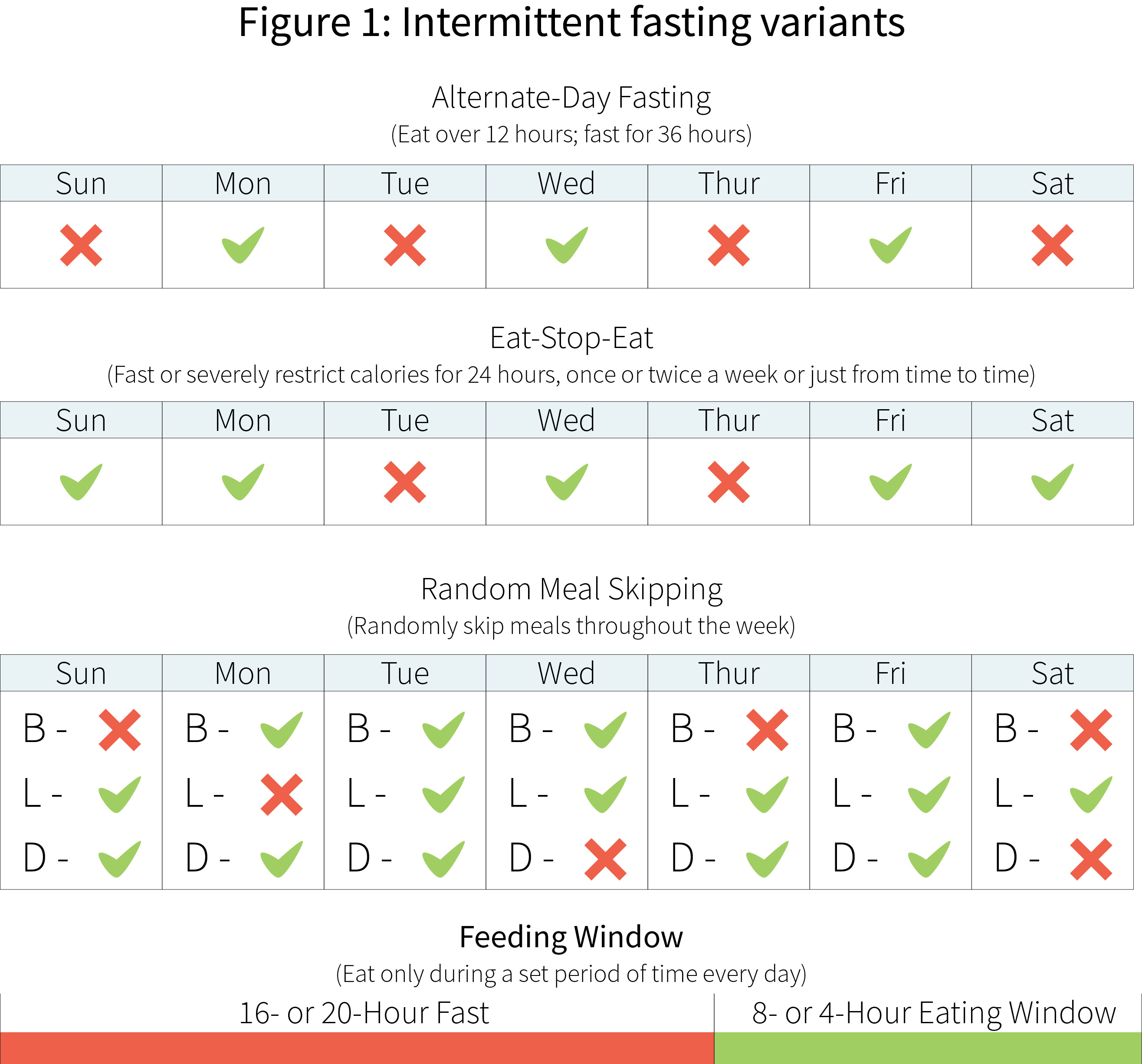 Set periods. Интервальное голодание схемы. Интервальное голодание схемы для начинающих женщин. Калькулятор интервального голодания. Интервальное голодание 12/12.